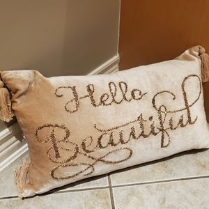 Pink velvet emblished throw pillows